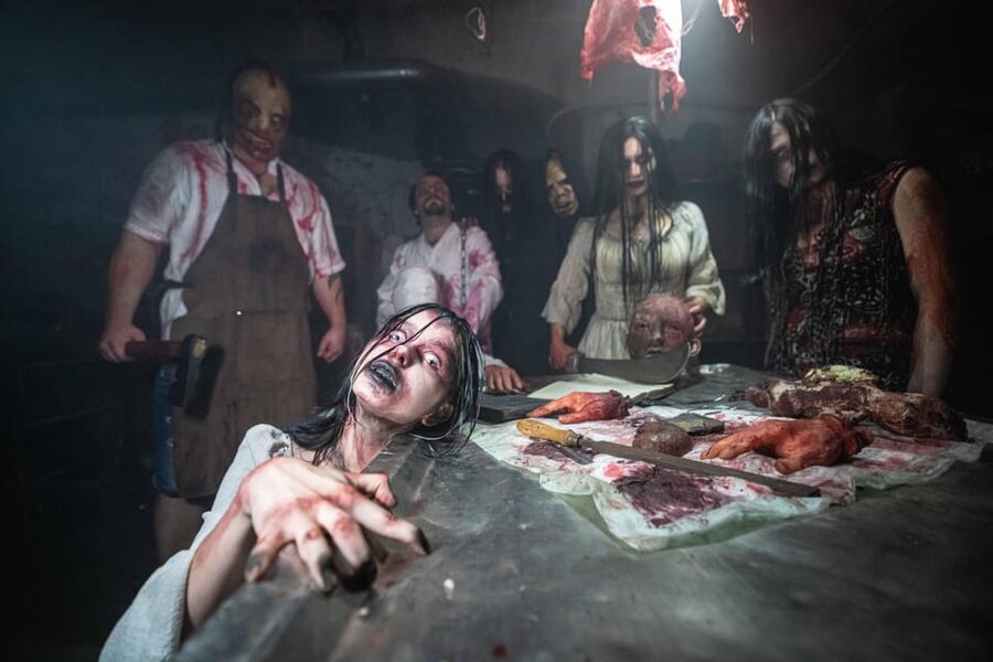 Prague Fear House: Best Haunting Experience in Prague - What $23 buys you