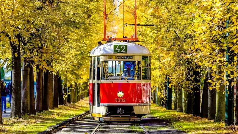 Prague: Full-Day Guided Tour of Prague in a Small-Group - What the $47 price really covers