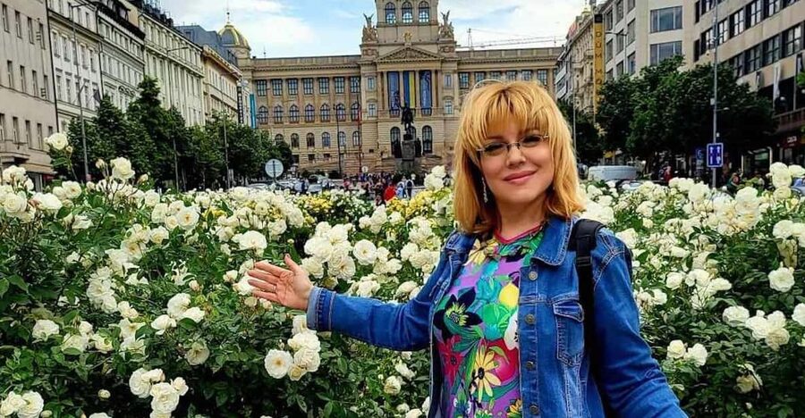 Prague: Highlights of Prague Private Half-Day Tour by Car - St. Vitus Cathedral in a focused 30 minutes