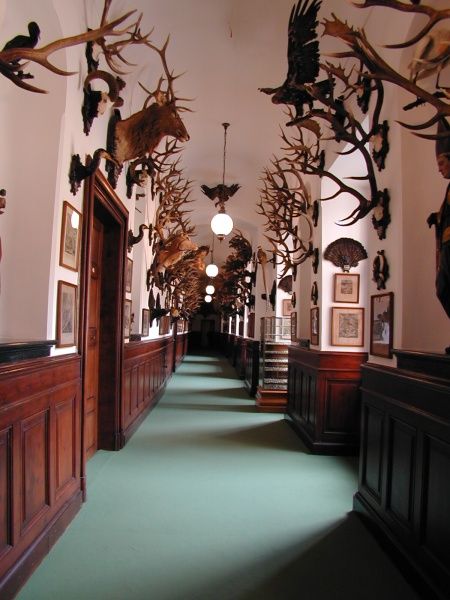 Prague: Karlštejn Castle Guided Tour with Entry Ticket - Who should book this Karlštejn tour?