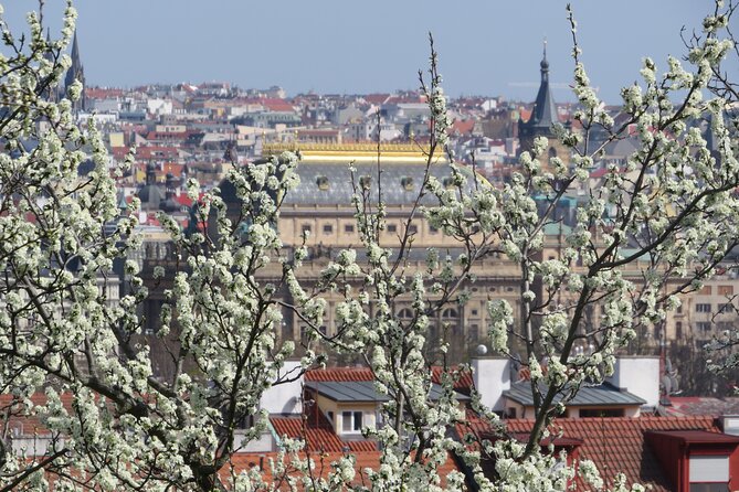 Prague Literary & Historical Tours - Literature Route - Bartolomějská and the pleasure of not knowing everything