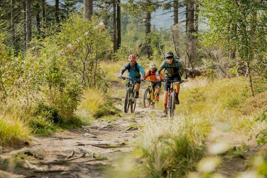 Prague Mountain Biking: Blast Through The Best Singletracks - A Czech Café Stop in Dobřichovice