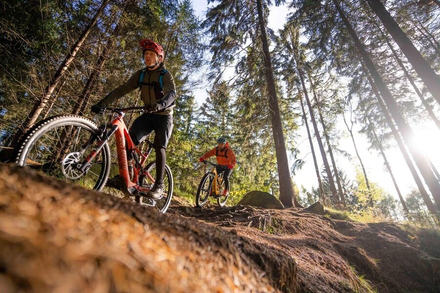 Prague Mountain Biking: Blast Through The Best Singletracks - Who Should Book This Experience?