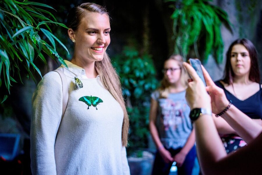 Prague: Papilonia Butterfly House - Key points at a glance