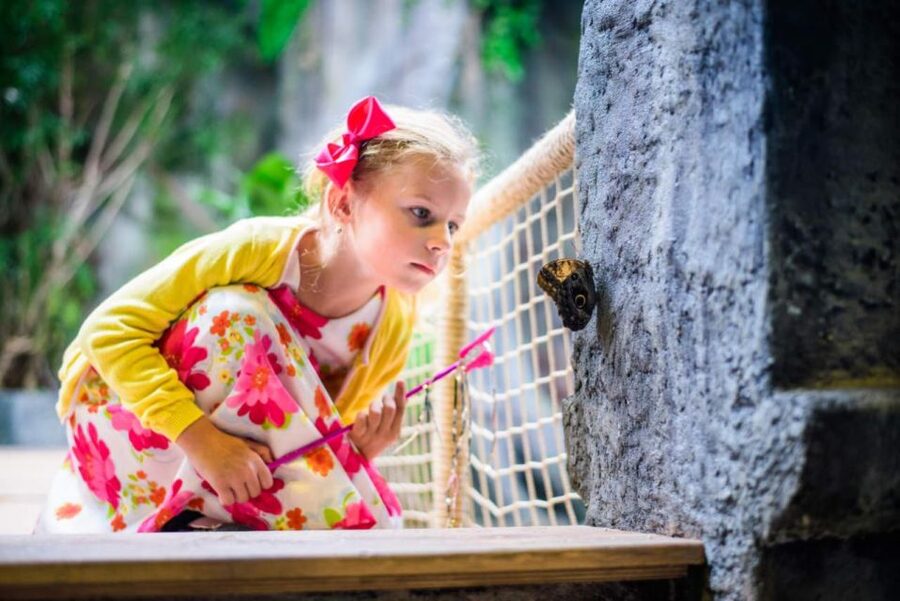 Prague: Papilonia Butterfly House - The family question: will children enjoy it?