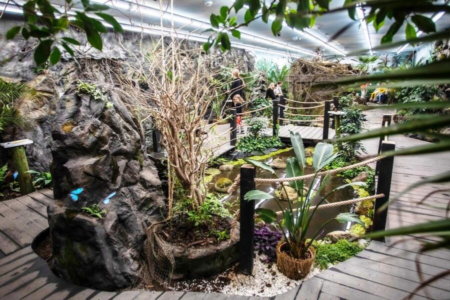 Prague: Papilonia Butterfly House - Photos, temperature, and practical comfort