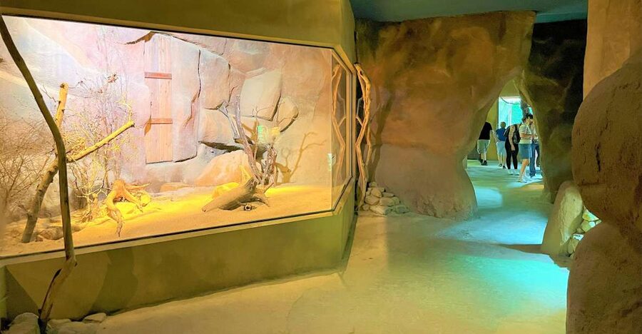 Prague: Prague Zoo Audio Guide with E-Ticket - What the audio guide adds