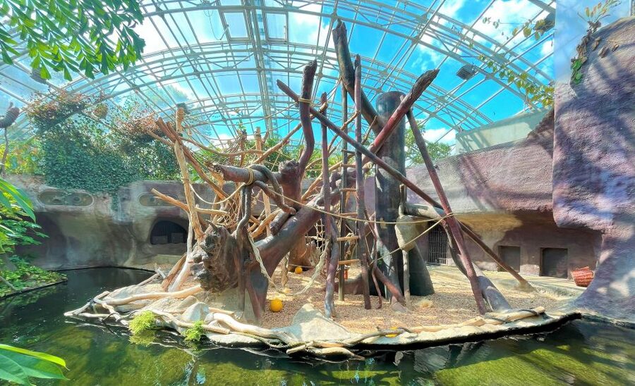 Prague: Prague Zoo Audio Guide with E-Ticket - Using the two maps without losing your way