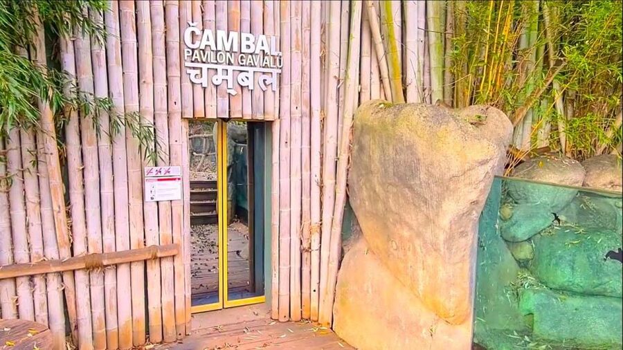 Prague: Prague Zoo Audio Guide with E-Ticket - Is $22 good value?