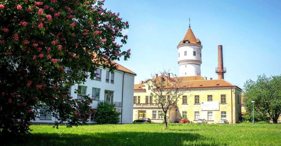 Prague: Psychiatric Hospital and Abandoned Cemetery Tour - Why Bohnice feels different from a standard Prague tour