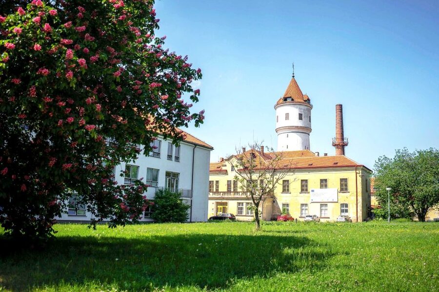 Prague: Psychiatric Hospital and Abandoned Cemetery Tour - The working hospital is part of the experience