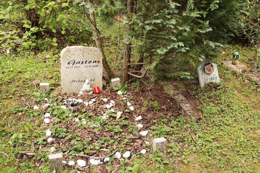 Prague: Psychiatric Hospital and Abandoned Cemetery Tour - The abandoned cemetery and its quiet unease
