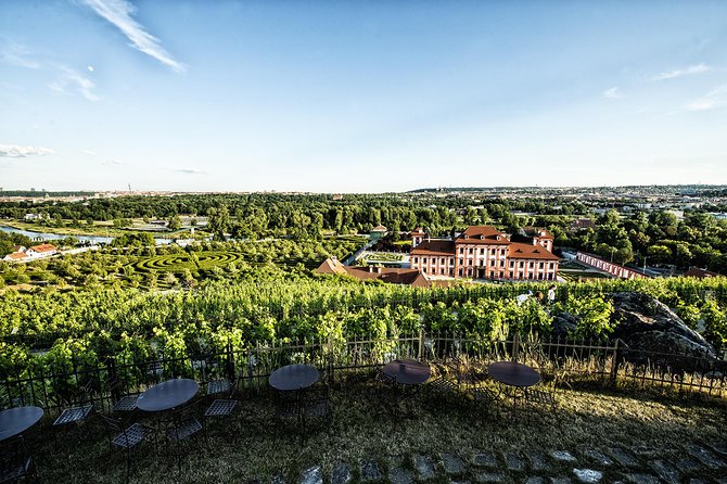 Prague´s Hidden Vineyards Private Tour - Prague’s city vineyards are the real surprise