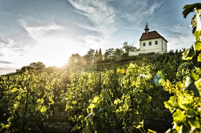 Prague´s Hidden Vineyards Private Tour - Four hours, private transport, and an easy pace