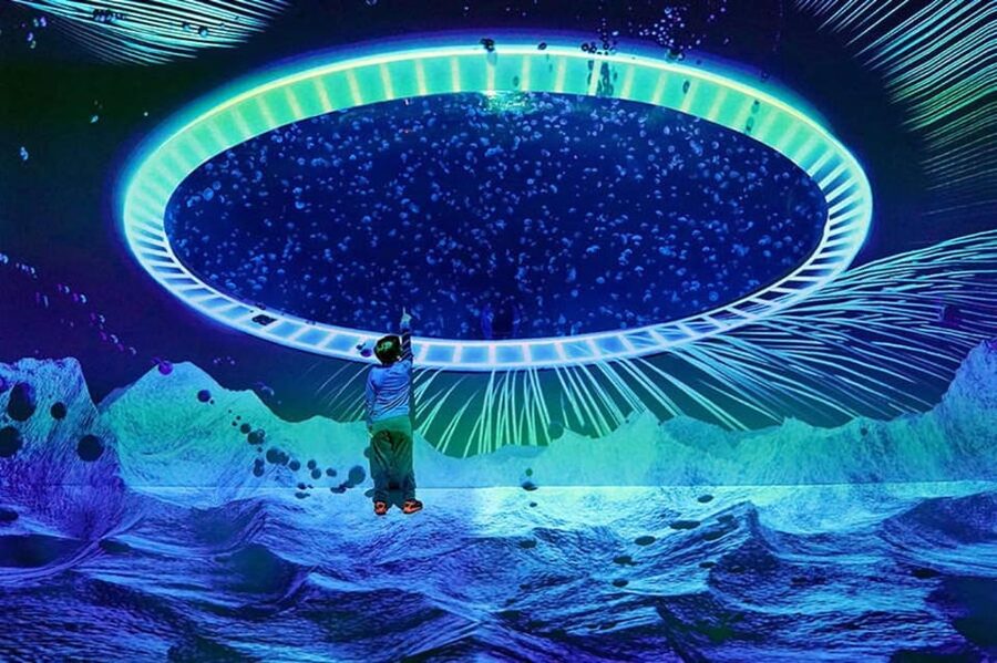 Prague: The World Of Jellyfish Entry Ticket w/ Drink - The spherical aquarium is the star