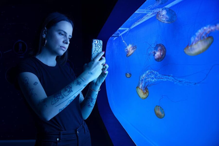 Prague: The World Of Jellyfish Entry Ticket w/ Drink - Is $16 fair for the visit?