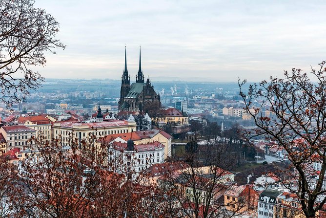 Prague-Vienna One-Way Sightseeing Day Tour - What the private guide adds