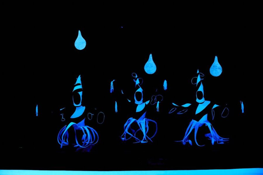 Prague: WOW Show Black Light Theater - Who should book the WOW Show?