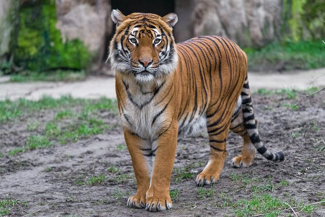 Prague Zoo Admission Ticket including Round Trip Transfer - Indonesian Jungle, Lemur Island, and Monkey Islands