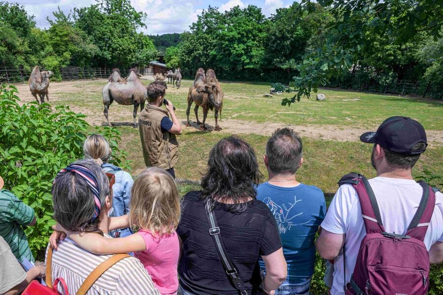 Prague Zoo: Skip-the-Line Entry Ticket - Opening hours by season