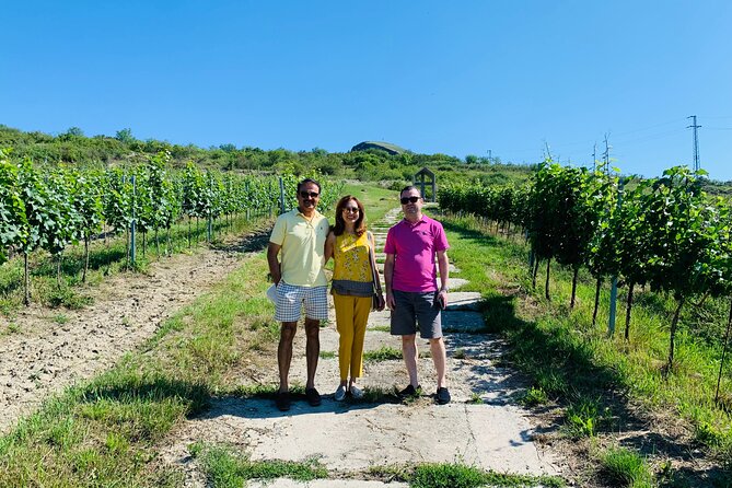 Private Bohemia Wine Tour from Prague with Gourmet Tastings - Mělník château and the confluence of two rivers