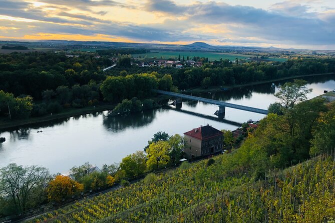 Private Bohemia Wine Tour from Prague with Gourmet Tastings - Velké Žernoseky and the old vaulted cellar