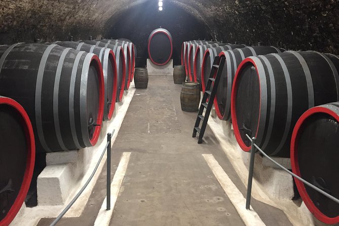 Private Bohemia Wine Tour from Prague with Gourmet Tastings - Transport, timing, and group comfort