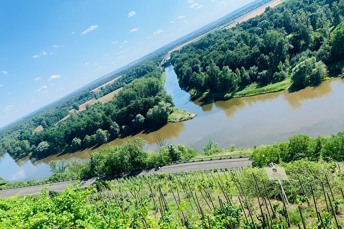 Private Bohemia Wine Tour from Prague with Gourmet Tastings - Žalhostice beneath Radobýl hill