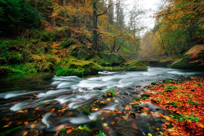 Private Custom Full day tour - Top Highlights of Bohemian & Saxon Switzerland - Lunch in Hrensko