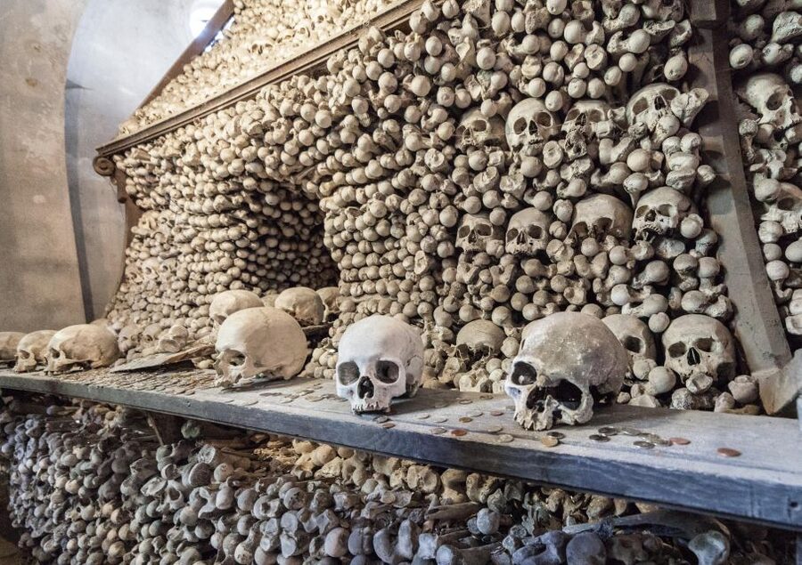Private Guided Tour from Prague to UNESCO Kutna Hora - Booking details worth knowing
