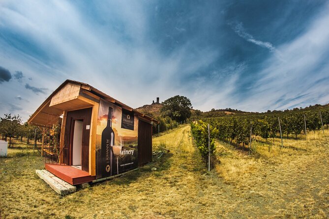 Private PICNIC in Bohemian Vineyards and Wine Tasting 4WD Tour - What the $372.07 price really buys
