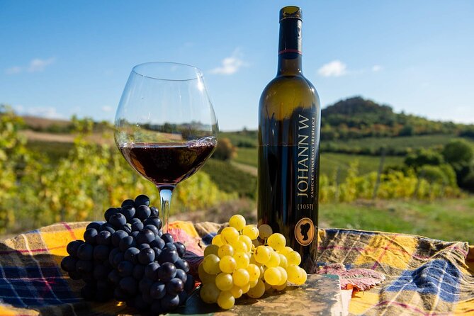 Private PICNIC in Bohemian Vineyards and Wine Tasting 4WD Tour - Picnic lunch with a sensible weather plan