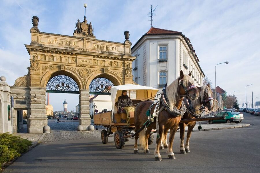 Private Pilsen & Pilsner Urquell Brewery Tour Prague - Who should book this Pilsen trip