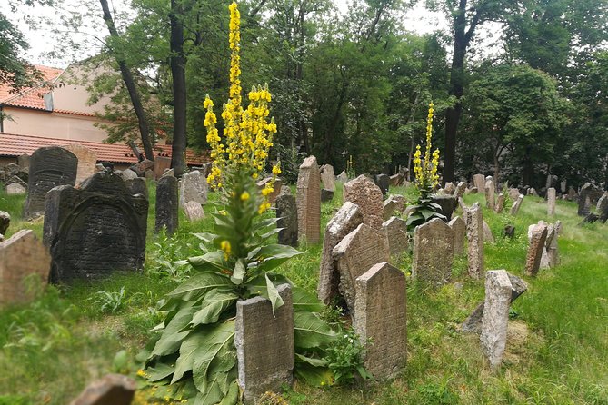 Private Stories of Jewish Prague Walking Tour - Pinkas Synagogue and the names of the Shoah