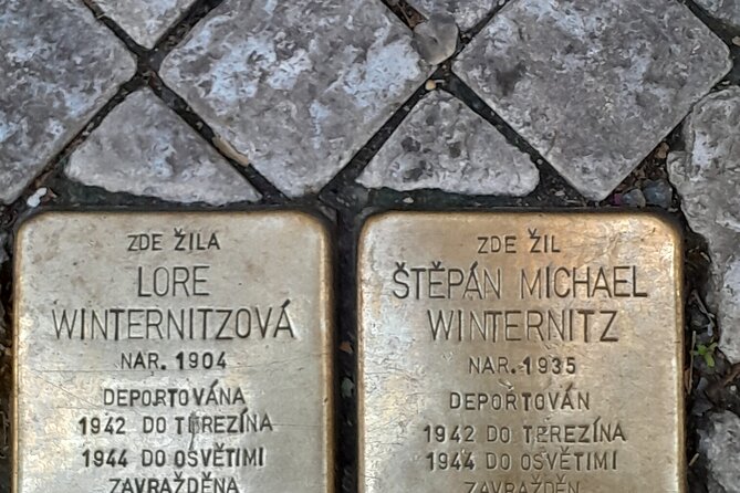 Small-Group Tour through the History of Jewish Prague - Pinkas Synagogue and the Shoah