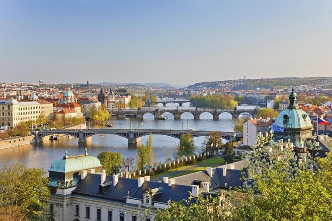 Sunny Beer garden tour - Key points to know before booking