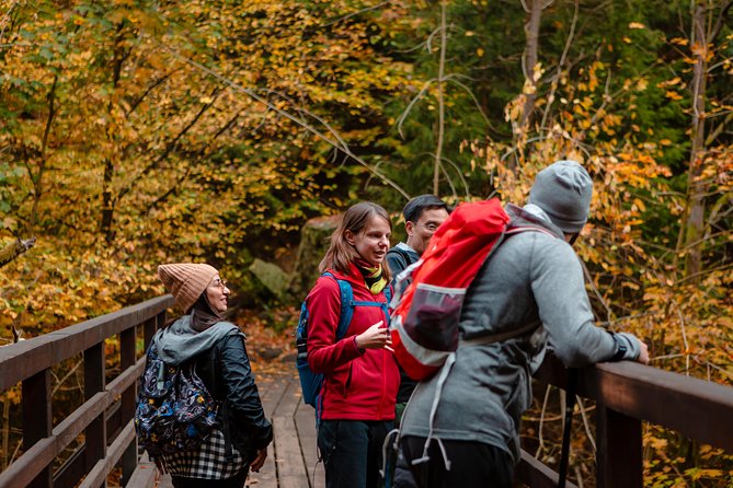 VIP Best Reviews: Bohemian & Saxon Switzerland from Prague - Lunch at Mezní Louka