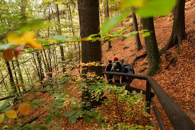 VIP Best Reviews: Bohemian & Saxon Switzerland from Prague - Pravčická Gate and the Kamenice Gorge boat ride