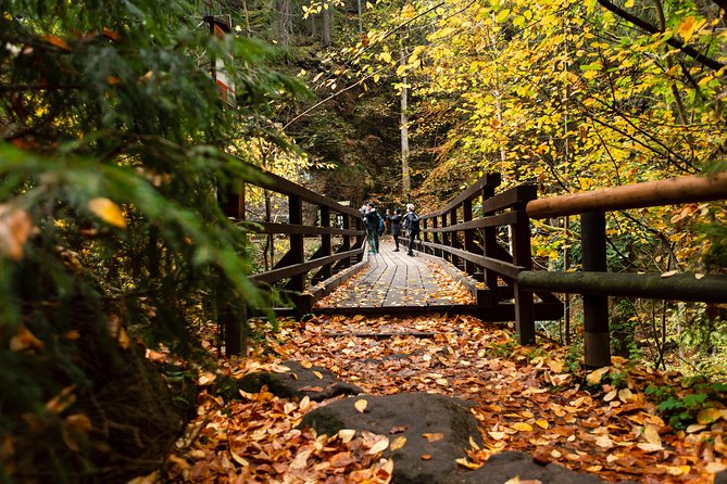 VIP Best Reviews: Bohemian & Saxon Switzerland from Prague - Guides, pacing, and safety